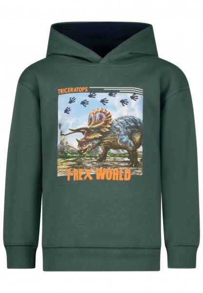 SALT AND PEPPER Boys Hoody Triceratops + Steps pine green