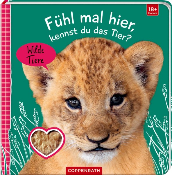 Coppenrath Verlag Fühl mal hier, kennst du das Tier? Wilde Tiere (Fühlen&beg.)