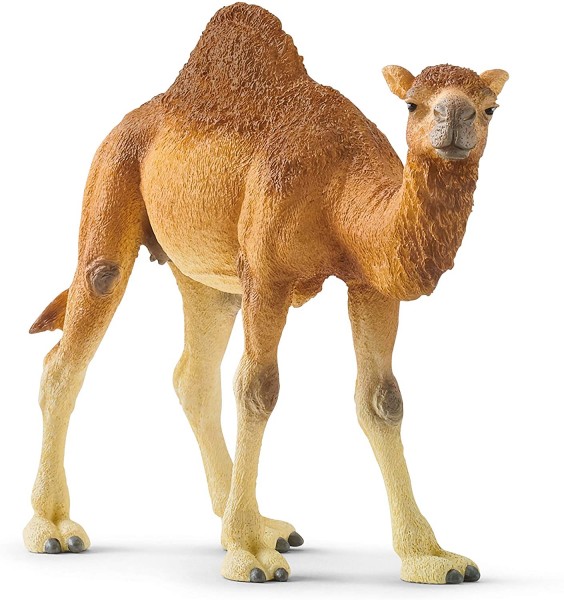 Schleich - Dromedar