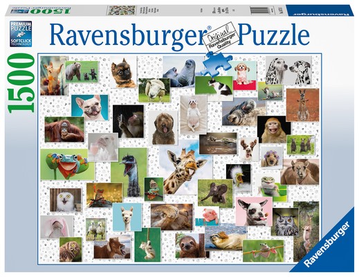 Ravensburger Funny Animals Collage