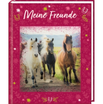 Coppenrath Verlag Freundebuch: Pferdefreunde - Meine Freunde (mit 3-D-Bild)