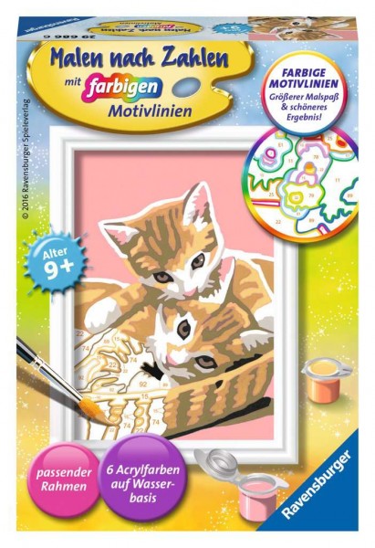 Ravensburger Katzenbabys