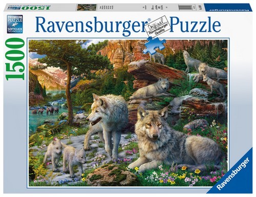 Ravensburger Wolfsrudel im Frühlingserwachen