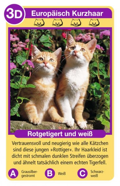 Ravensburger Katzen